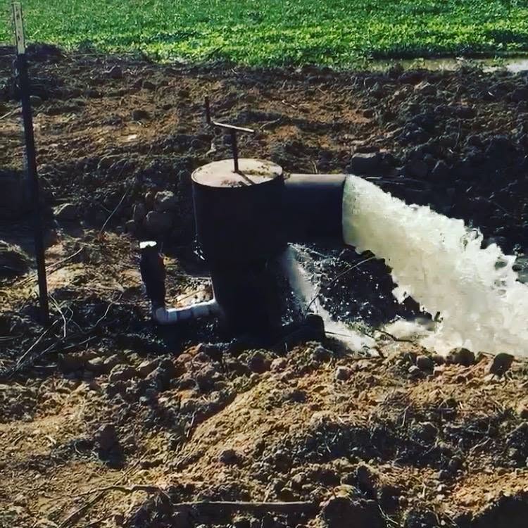 Irrigation well pumping a strong stream of water into a field
